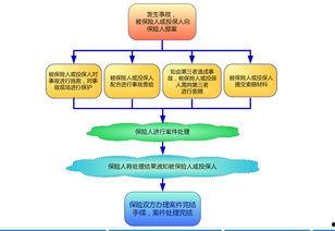 保险理赔爆料流程视频讲解,视频详解与实操指南  第2张